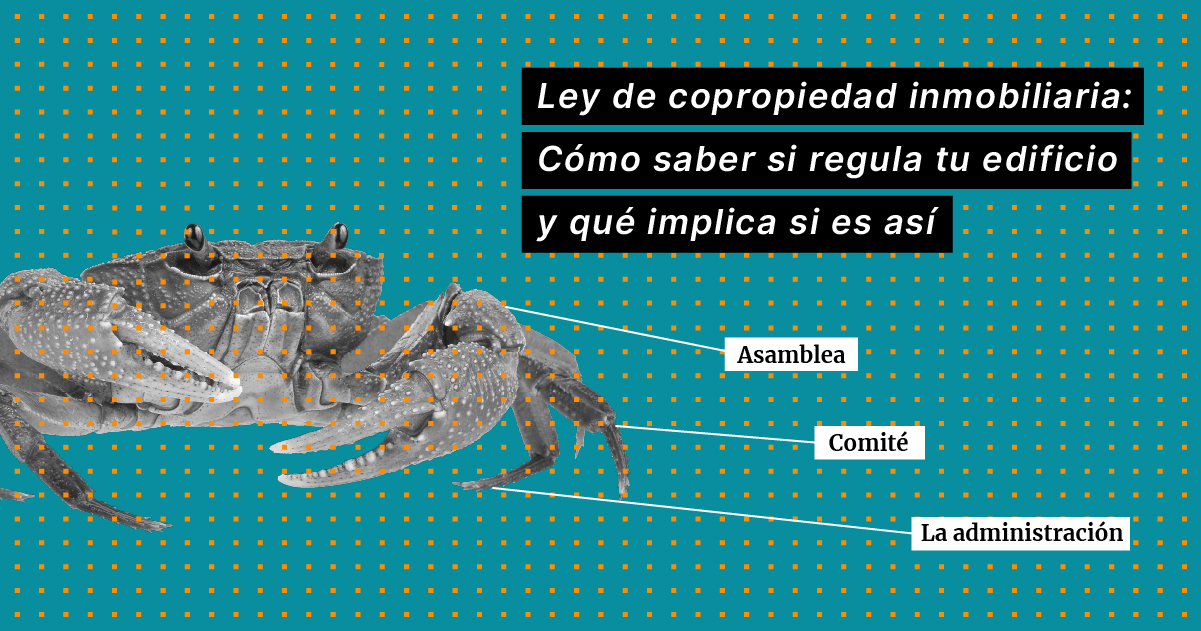 Ley De Copropiedad Inmobiliaria Revisa Si Regula Tu Edificio Y Qué Implica 6290