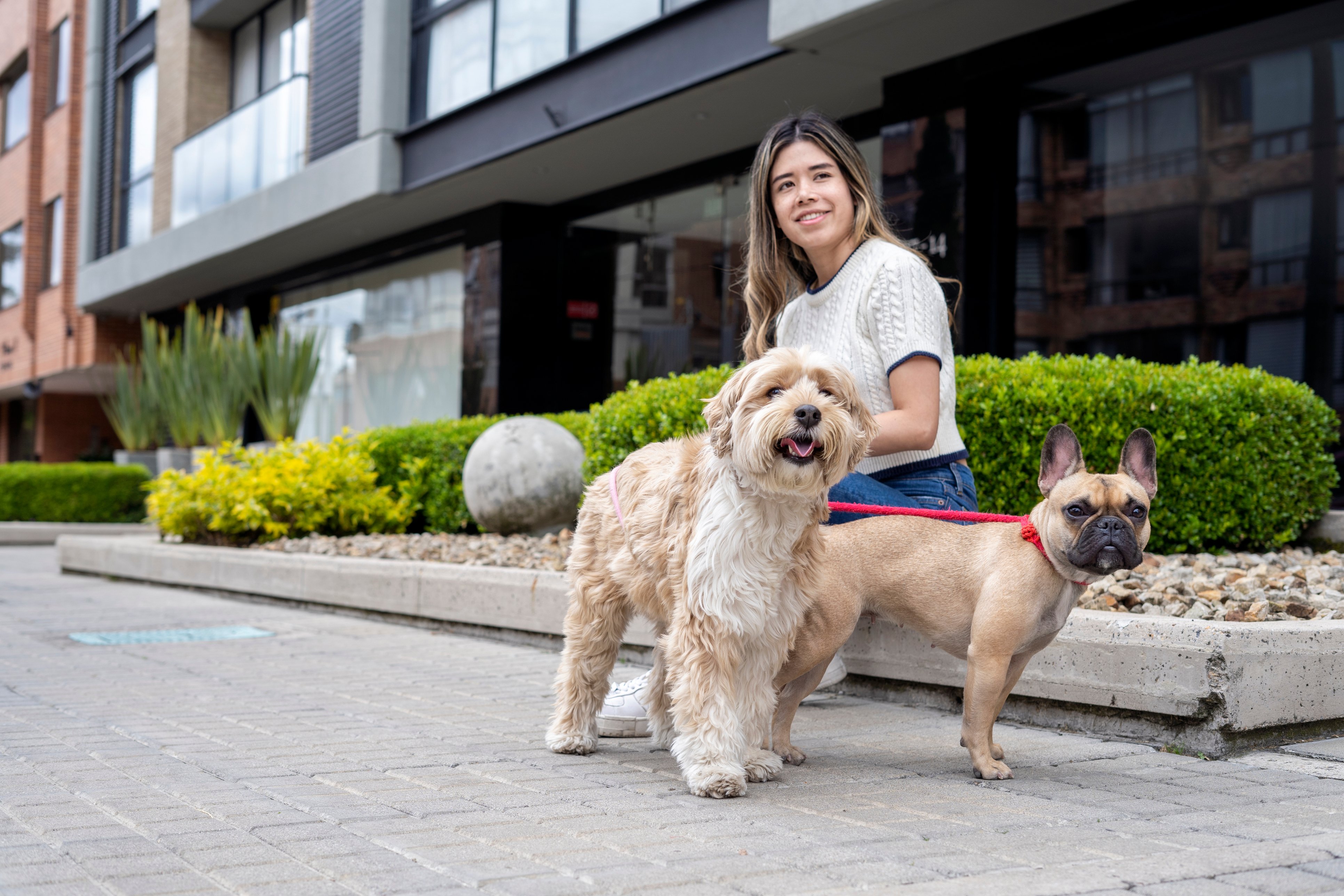Edificio pet friendly
